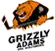 Grizzlys Wolfsburg